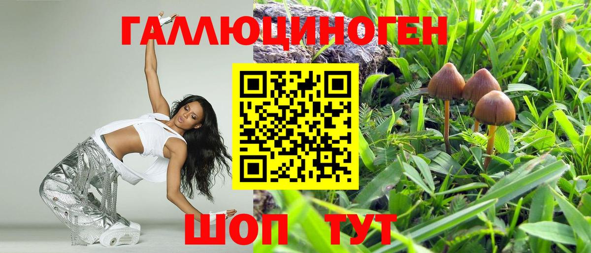 Псилоцибиновые грибы мухоморы Волгоград