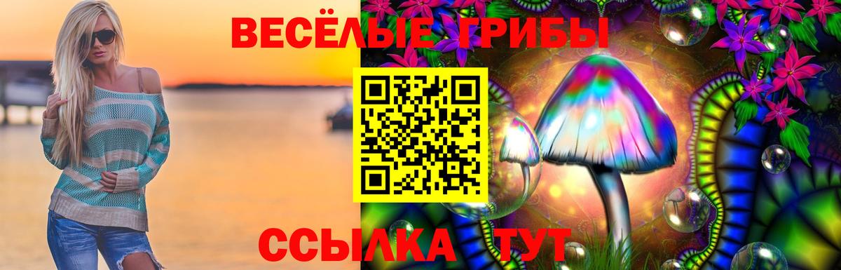 Волгоград  Галлюциногенные грибы GOLDEN TEACHER  Галлюциногенные грибы прущие грибы  Вход с VPN 